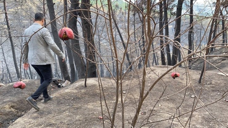 Başkan Gül: "Hatay yangını terör eylemi"