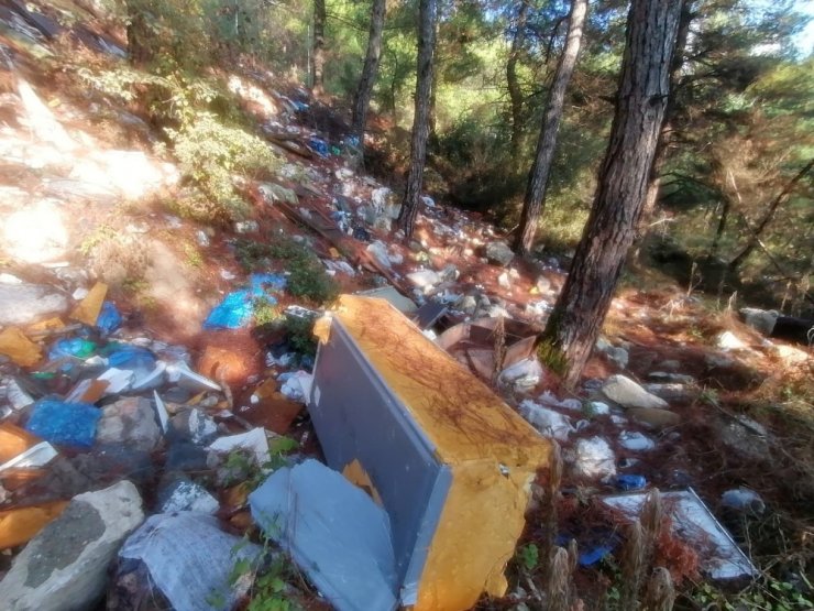 Bursa’da bir çevre katliamı daha