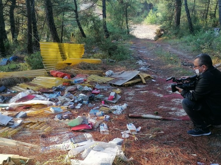 Bursa’da bir çevre katliamı daha