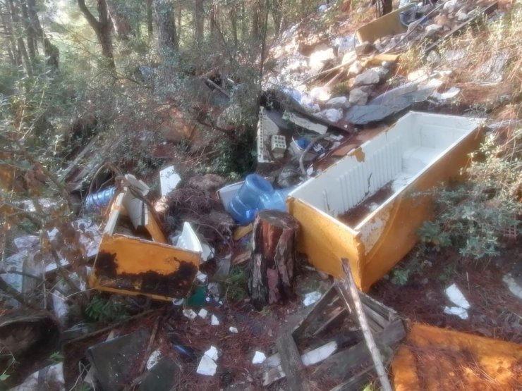 Bursa’da bir çevre katliamı daha