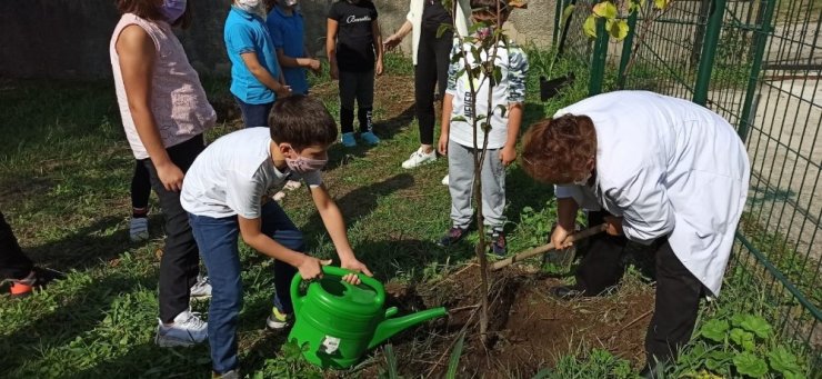 Minik elleriyle fidanları toprakla buluşturdular