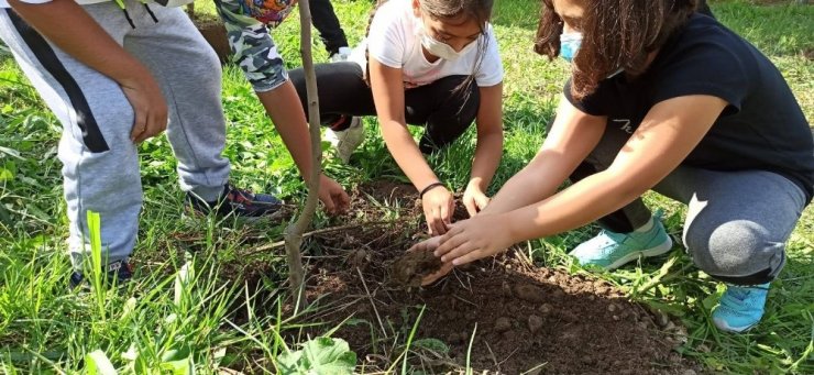 Minik elleriyle fidanları toprakla buluşturdular