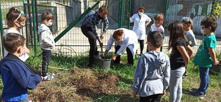 Minik elleriyle fidanları toprakla buluşturdular