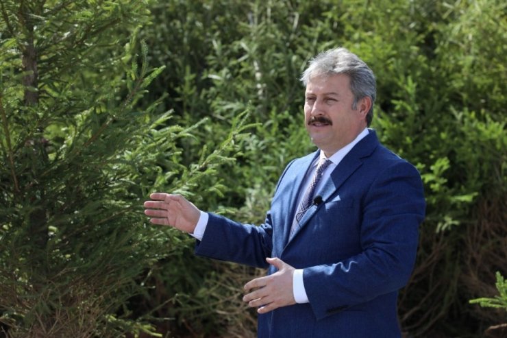 Daha yeşil bir Melikgazi için ağaçlar yolda