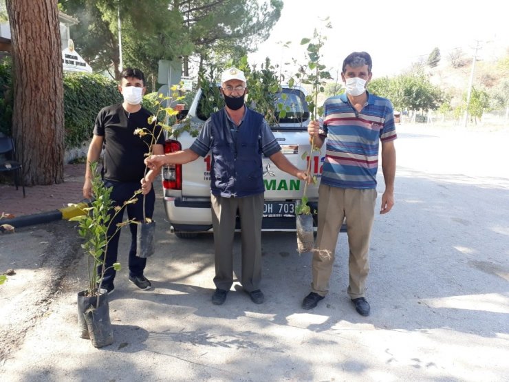 İlk günün anısına yüzlerce fidan toprakla buluştu