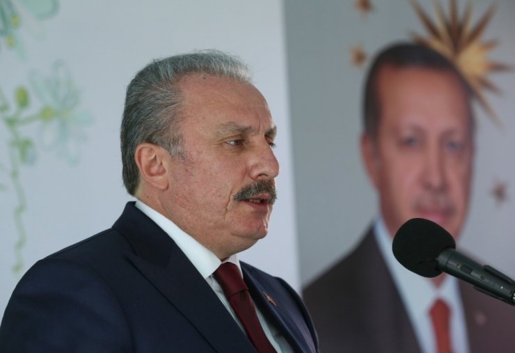 TBMM Başkanı Şentop: “Tabiata zarar vererek kirli emellerine ulaşacaklarını zanneden gafiller şunu iyi bilsinler: Türkiye Cumhuriyeti Devleti büyük ve güçlü bir devlettir”