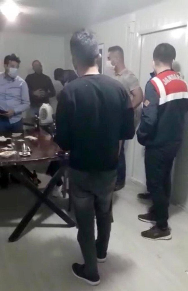 Konteynerde kumara suçüstü