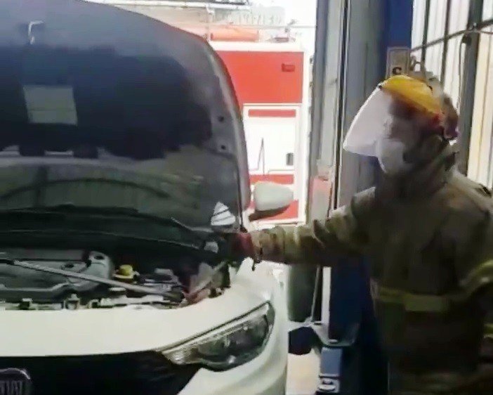 Bursa’da araca giren yılan İzmir’de çıkarıldı