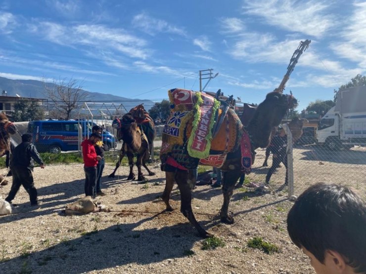 Güreş arenasının Buldanbeyi öldü