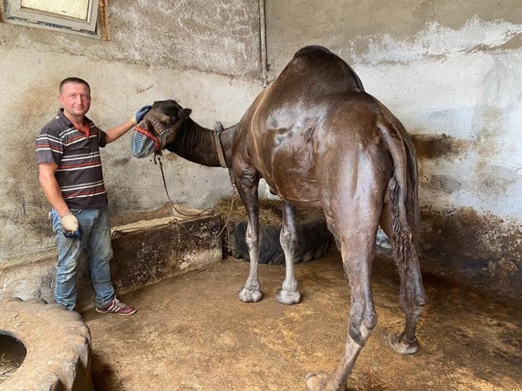 Güreş arenasının Buldanbeyi öldü