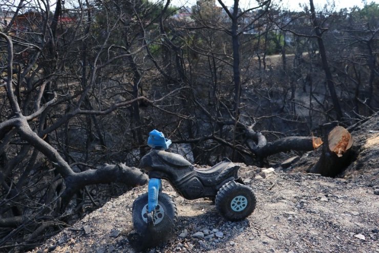 Yangın mağdurları PKK’ya lanet okudu