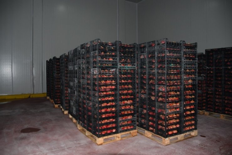 Soğuk hava deposu hizmet vermeye başladı