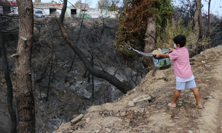 Yangın mağdurları PKK’ya lanet okudu