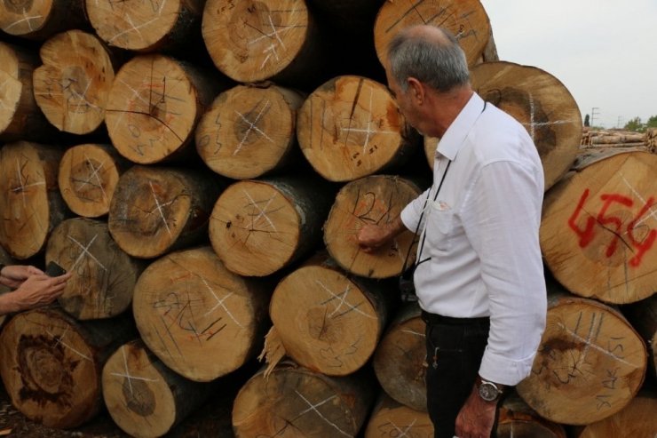 Düzce’de orman emvalinin kalitesi yükseltiliyor