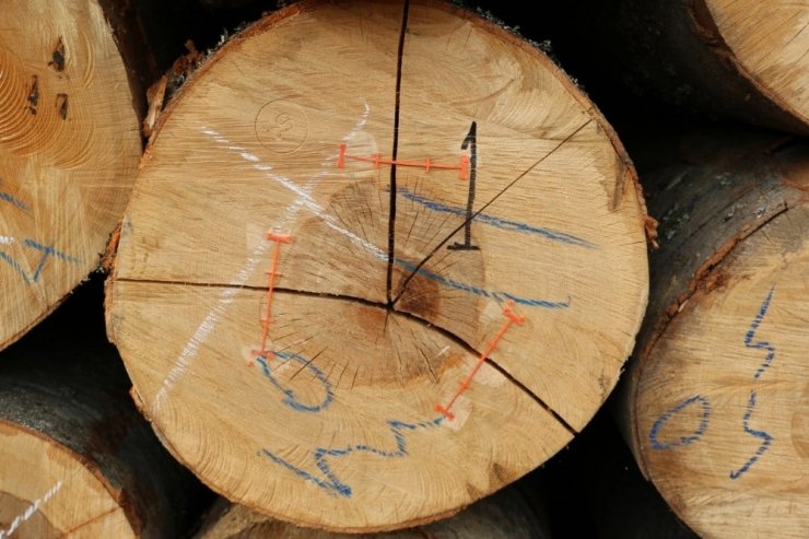 Düzce’de orman emvalinin kalitesi yükseltiliyor