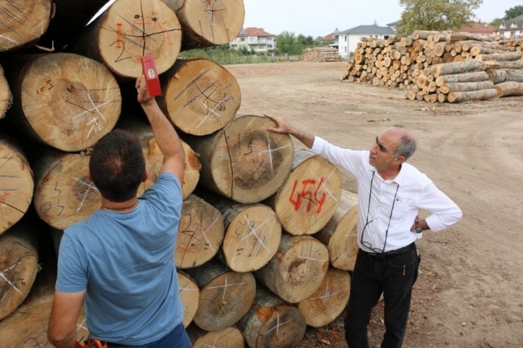 Düzce’de orman emvalinin kalitesi yükseltiliyor