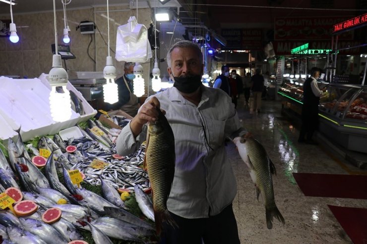 Korona virüs balık satışlarını da vurdu