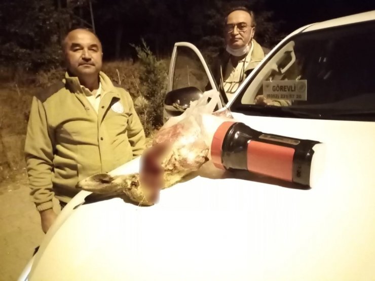 Projektörle tavşan avlayan 3 kişi şafak operasyonu ile suçüstü yakalandı