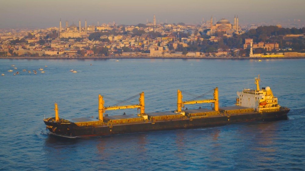 Yunuslar İstanbul Boğazı'nda güzel görüntüler oluşurdu