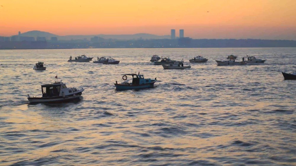 Yunuslar İstanbul Boğazı'nda güzel görüntüler oluşurdu