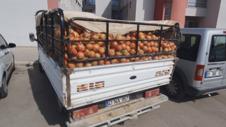 Tarladan karpuz ve nar çalıp satmış