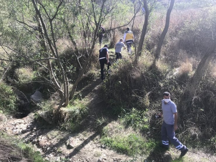Büyükçekmece’de havadan ve karadan ‘boz ayı’ arama çalışmaları