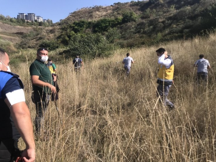 Büyükçekmece’de havadan ve karadan ‘boz ayı’ arama çalışmaları
