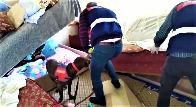 İki arkadaşın 3 yıldır kayıp olduğu olayın şüphelisi jandarmaya silah çekti