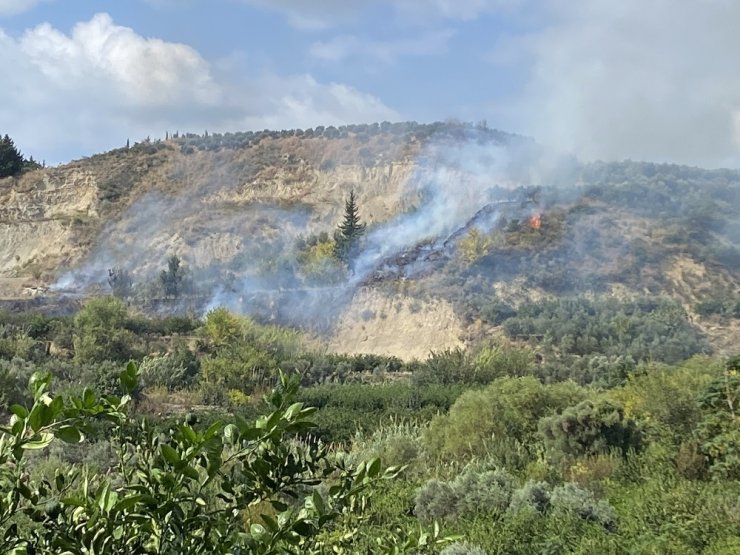 Samandağ’da bitki örtüsü yangını