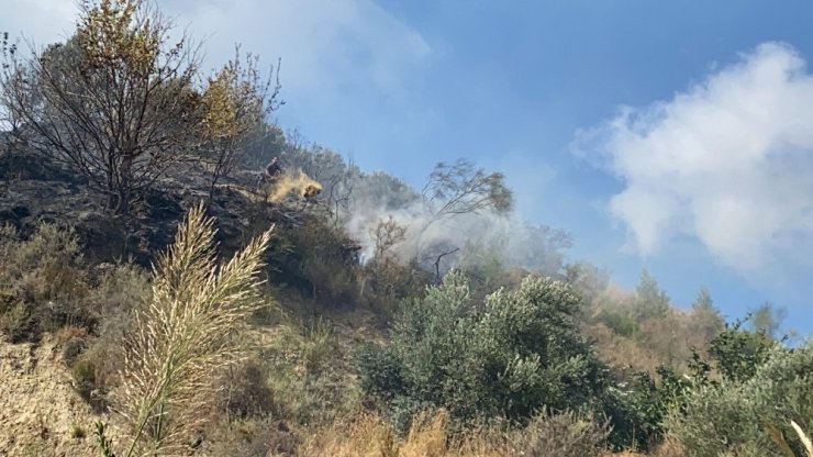 Samandağ’da bitki örtüsü yangını