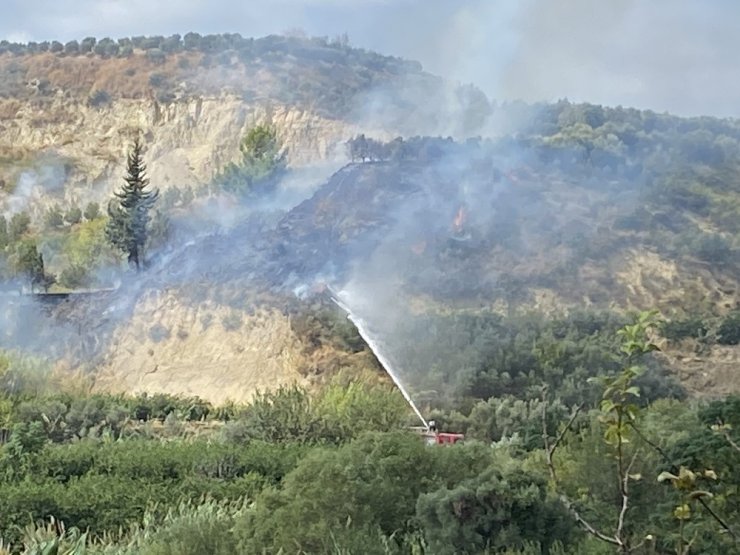 Samandağ’da bitki örtüsü yangını