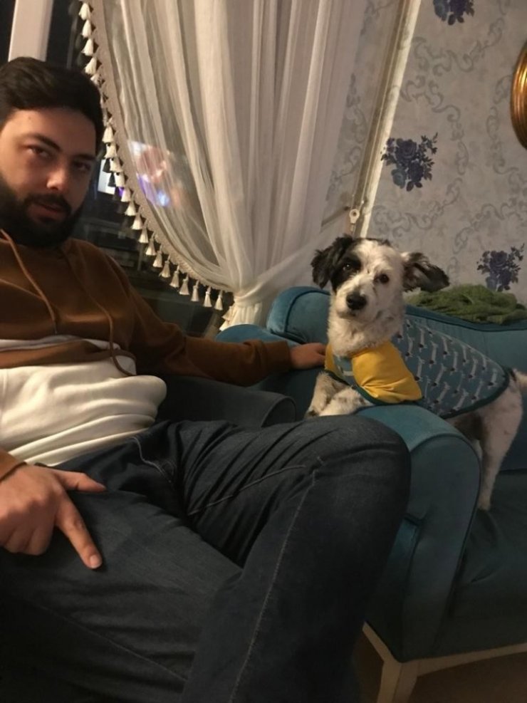 Kayıp olan Ahap’ı bulana ödül verilecek