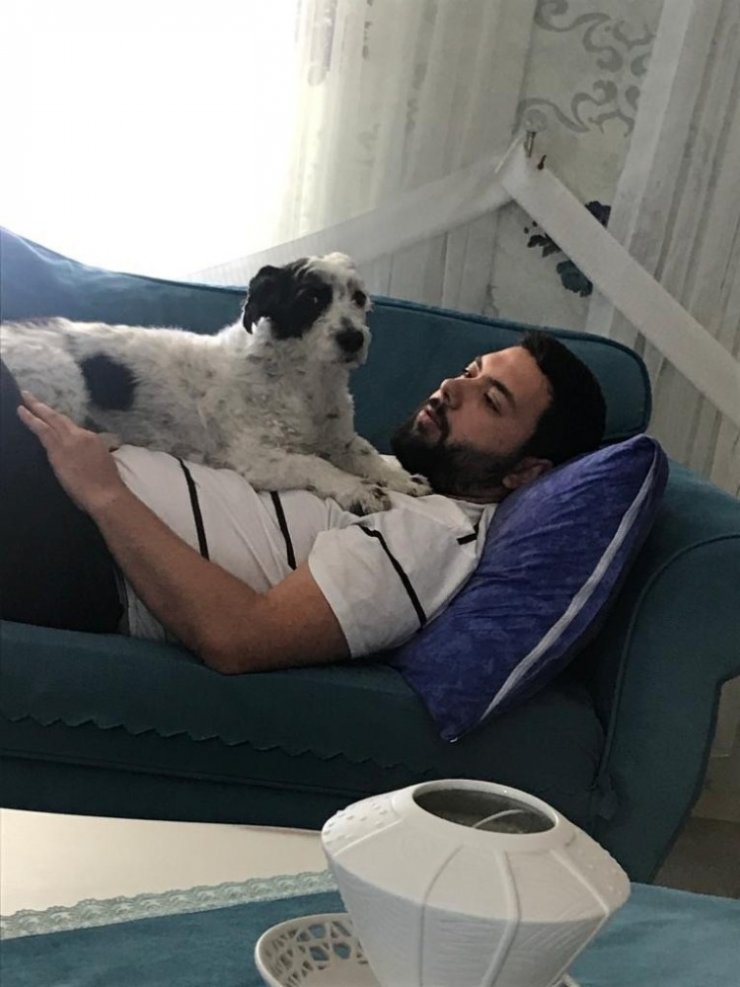 Kayıp olan Ahap’ı bulana ödül verilecek