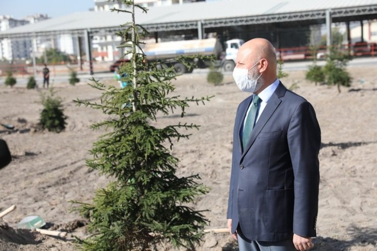 Başkan Çolakbayrakdar: “45 gün boyunca ağaçları toprakla buluşturacağız”