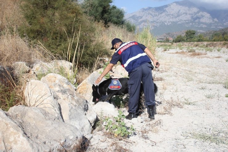 633 gündür kayıp olan Buse için köpekli arama