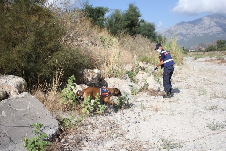 633 gündür kayıp olan Buse için köpekli arama