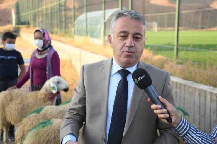 Kayseri’de damızlık koçların dağıtımına başlandı