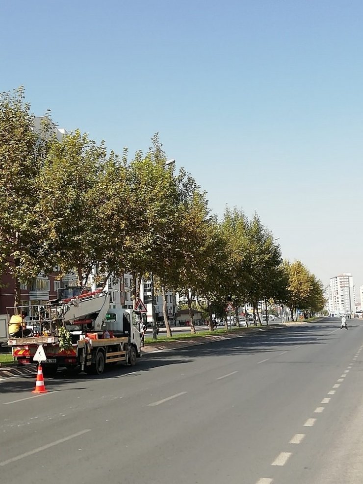 Büyükşehir’den hummalı sonbahar çalışması