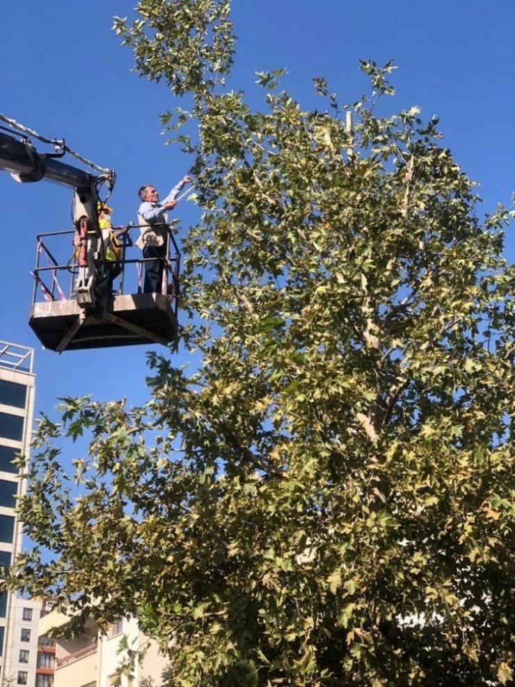 Büyükşehir’den hummalı sonbahar çalışması