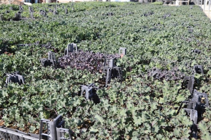 Battalgazi güzelleştiriyor