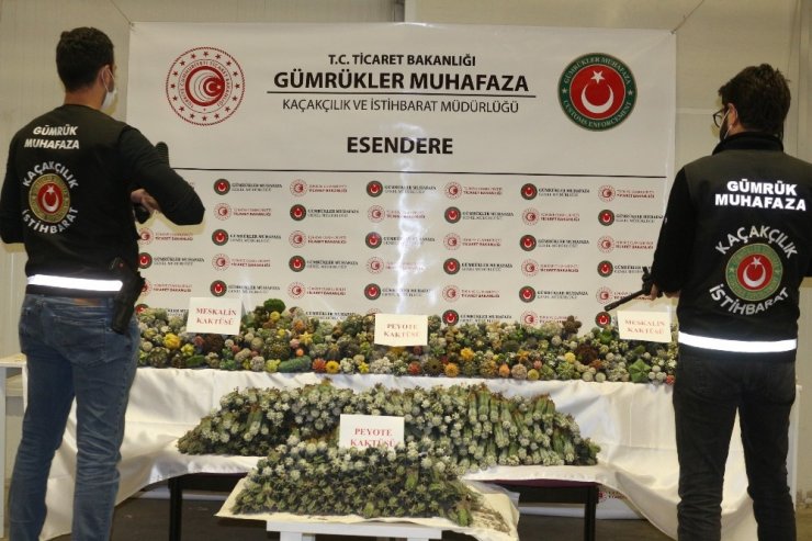 Esendere Gümrük Kapısında 113 kilogram uyuşturucu ele geçirildi