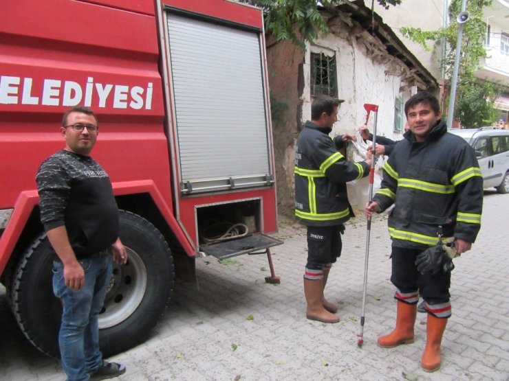 Sandıklı’da bir evin bodrum katına giren yılanı itfaiye çıkardı
