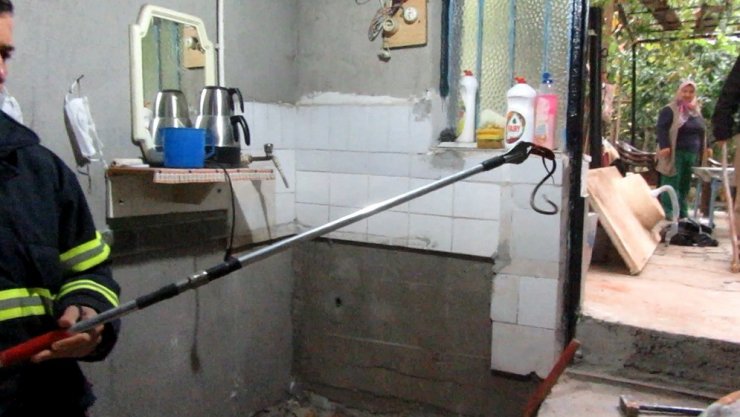 Sandıklı’da bir evin bodrum katına giren yılanı itfaiye çıkardı