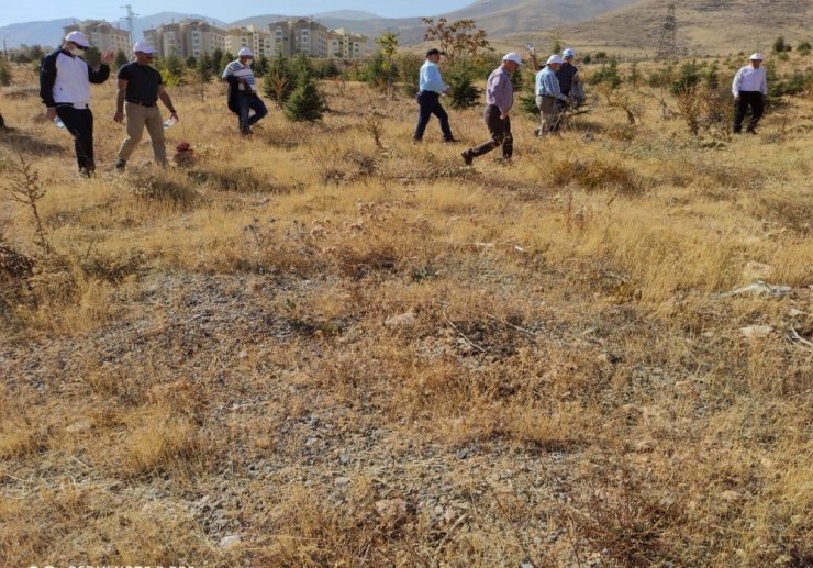 "5 bin çınar 5 bin çam" fidan bağışı kampanyası