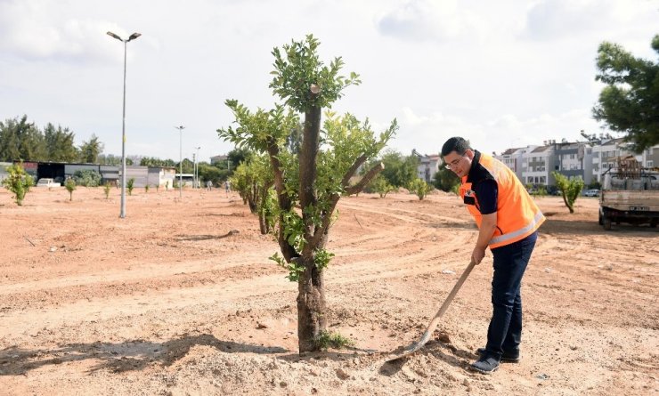 Kepez’e 3 milyon 200 bin metrekare yeşil alan