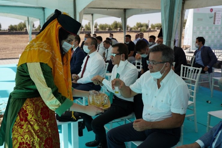 Sanayi ve Teknoloji Bakanlığı himayesinde “Kilis Yağlık Zeytini” tanıtım günü