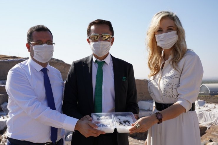 Sanayi ve Teknoloji Bakanlığı himayesinde “Kilis Yağlık Zeytini” tanıtım günü