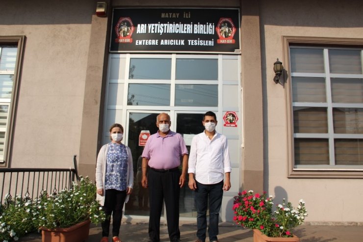 Hatay’daki yangında binden fazla arı kovanı yandı