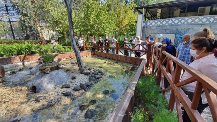 Tarsus Gençlik Kampı şehit yakınlarını ağırlıyor