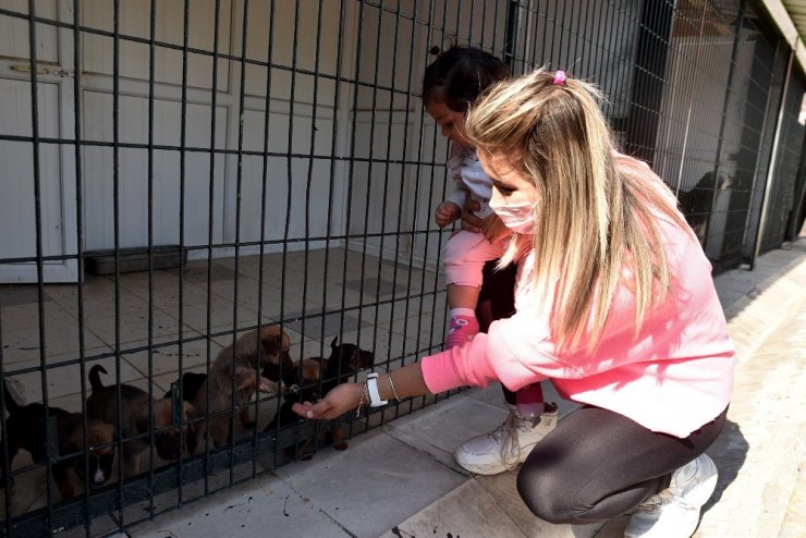 Bir can daha yuvaya kavuştu